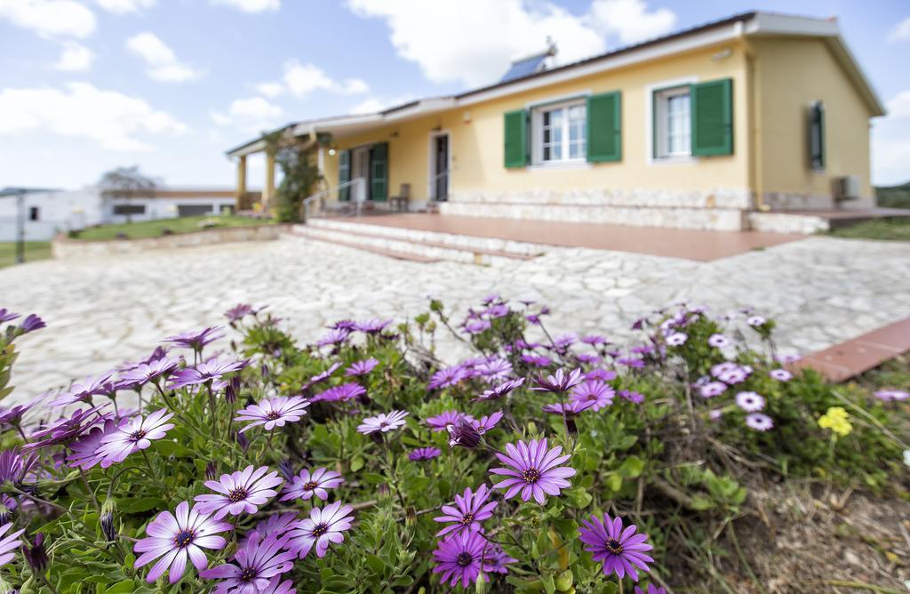 Villa Raimonda Putifigari Екстериор снимка